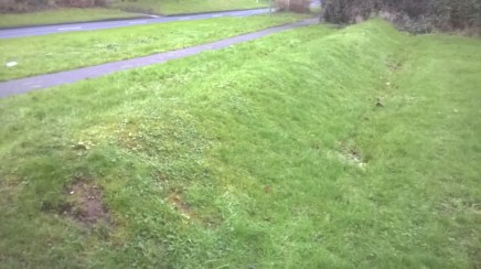 WP_20160106_14_26_40_Pro