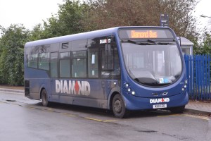 Diamond bus
